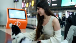 Türkiye’de ilk: Terapi köpekleri İstanbul Havalimanı’nda iş başı yaptı