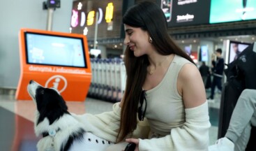 Türkiye’de ilk: Terapi köpekleri İstanbul Havalimanı’nda iş başı yaptı