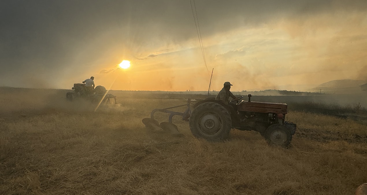 10 dönüm buğday ekili alan kül oldu