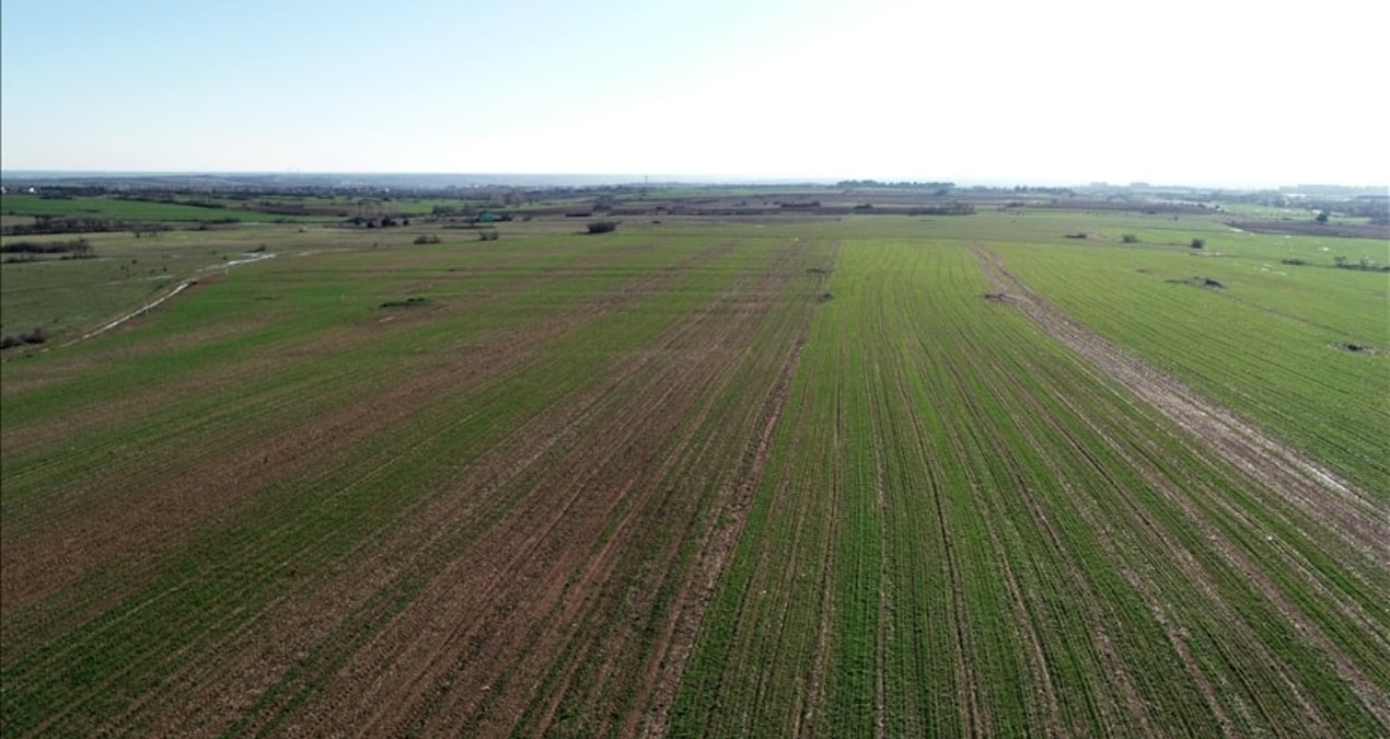 100 bin metrekarelik tarım arazisi, Erdoğan’a yakın ailenin şirketi için imara açıldı