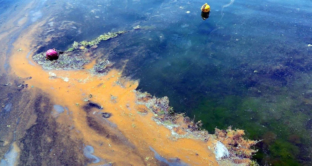 12 bin litre mazot denize sızdı… Milyonlarca lira ceza