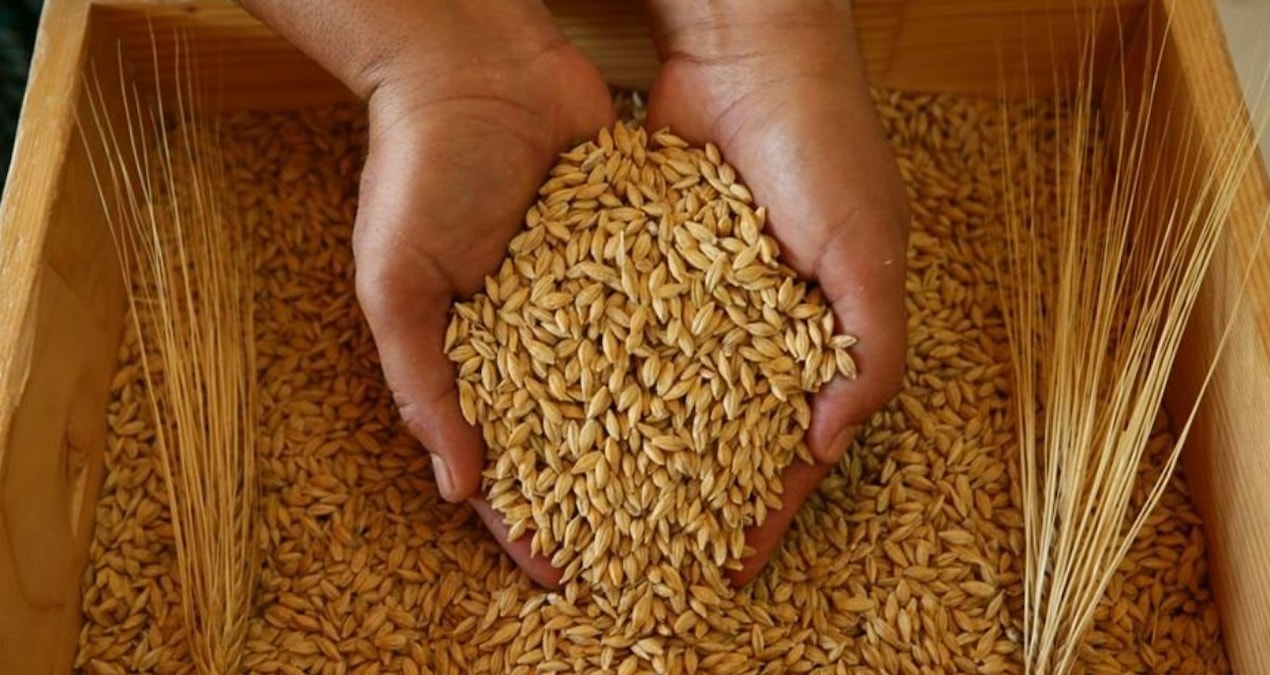 2024 hububat alım fiyatları belli oldu