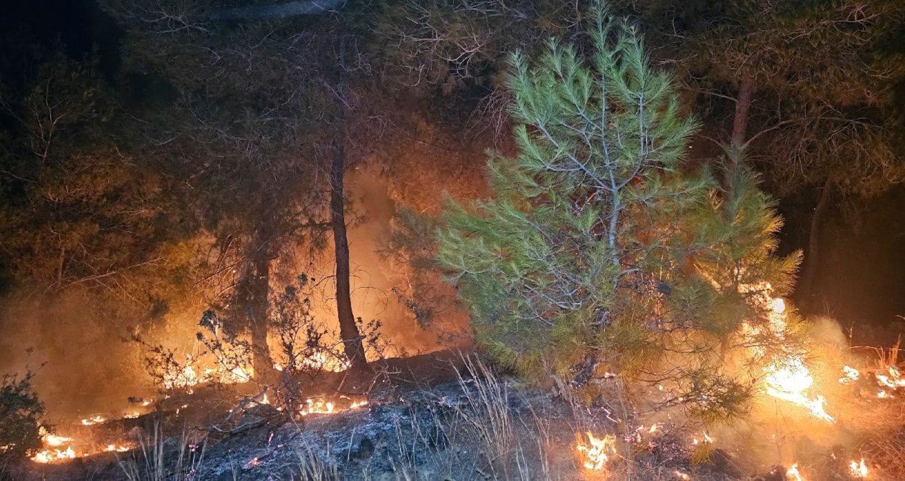 Adana’da 2 günde 10 orman yangını çıktı: ‘İnsan eli’ uyarısı