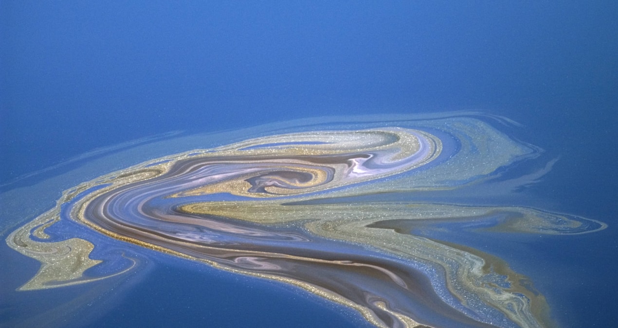 Alg nedir, alg patlaması neden olur?