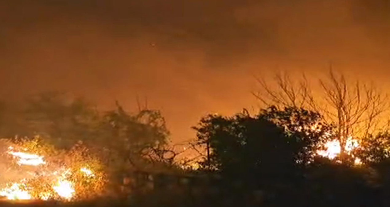 Batman ve Mardin’deki yangında 60 dönüm alan kül oldu