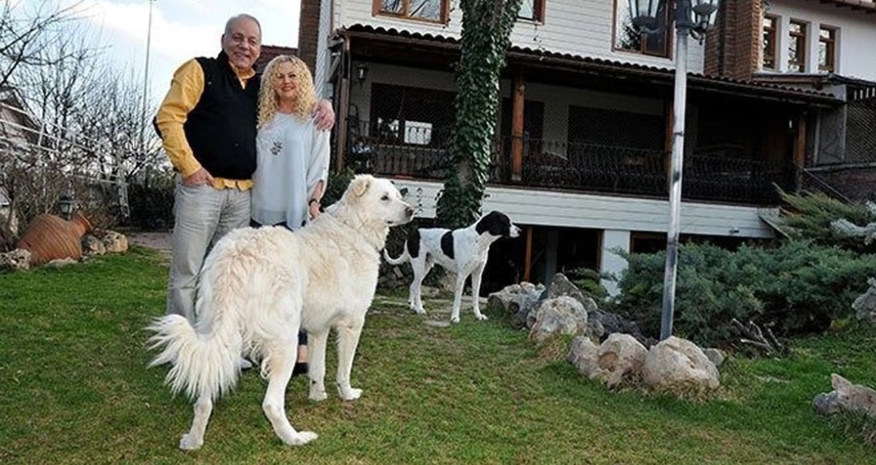 Bekir Coşkun’un eşi Andree Hanım’dan sokak köpekleri için uyarılar