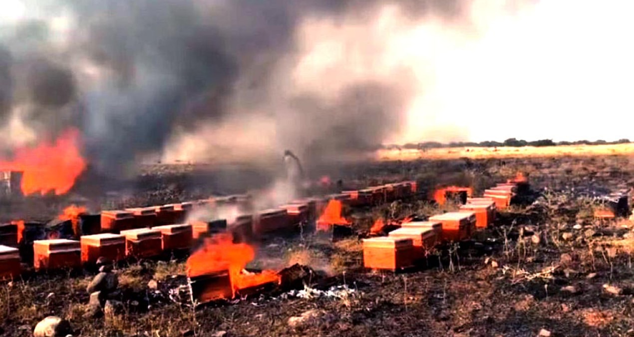 Binlerce arı, kovanlarıyla birlikte yandı