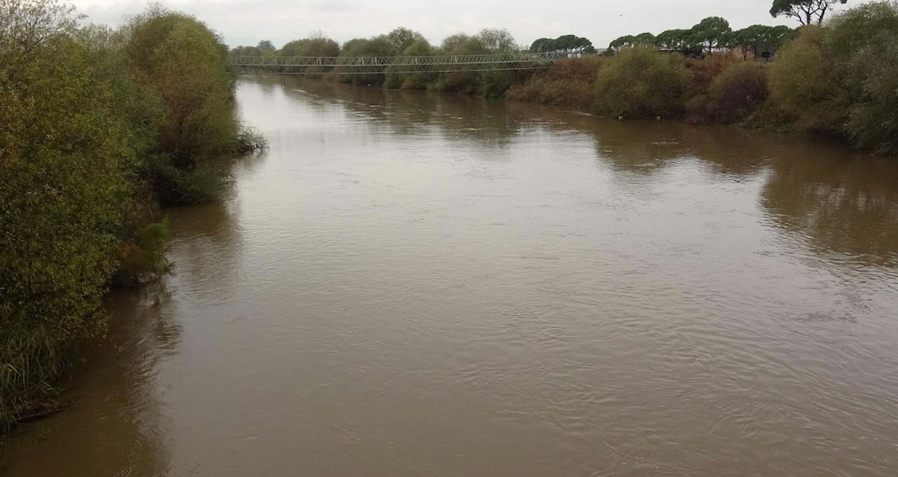 Büyük Menderes kuruyor! Su kirliliği de cabası…