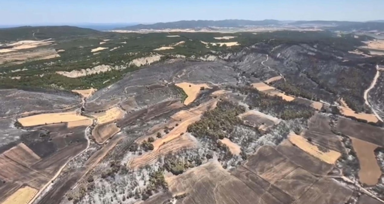 Çanakkale’de acı tablo gün yüzüne çıktı: Tam 952 futbol sahası büyüklüğünde