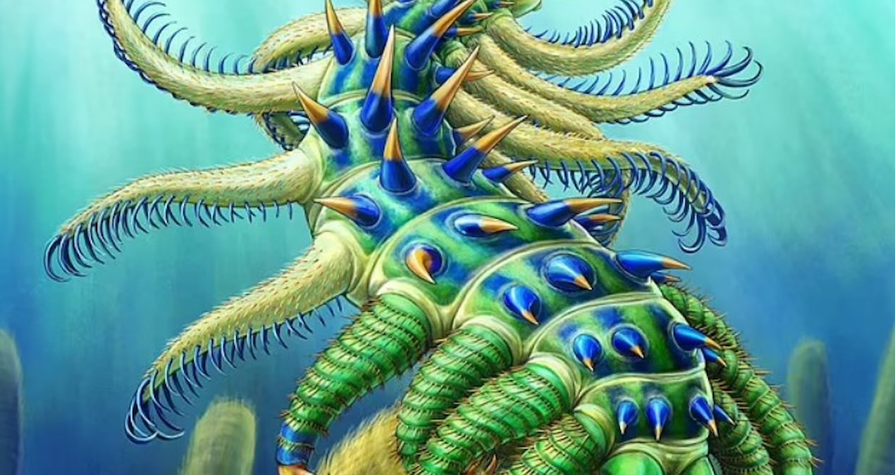 Deniz canlısı şaşkınlık yarattı… 500 milyon yıl önce yaşamış, uzaylıya benziyor