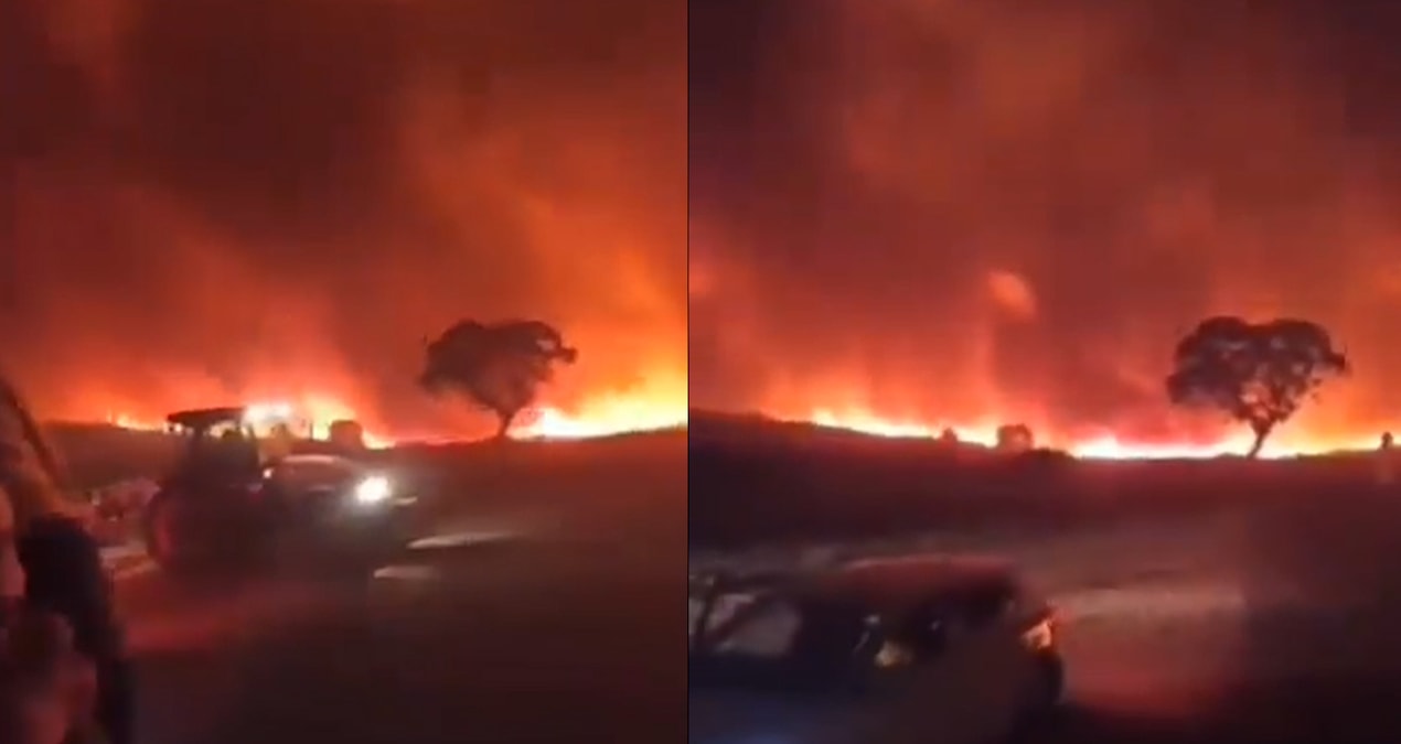 Diyarbakır’da orman yangını: 2 kişi hayatını kaybetti