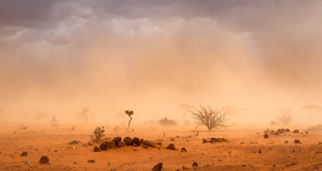 Dünya Sağlık Örgütü’nden endişe yaratan iklim krizi açıklaması
