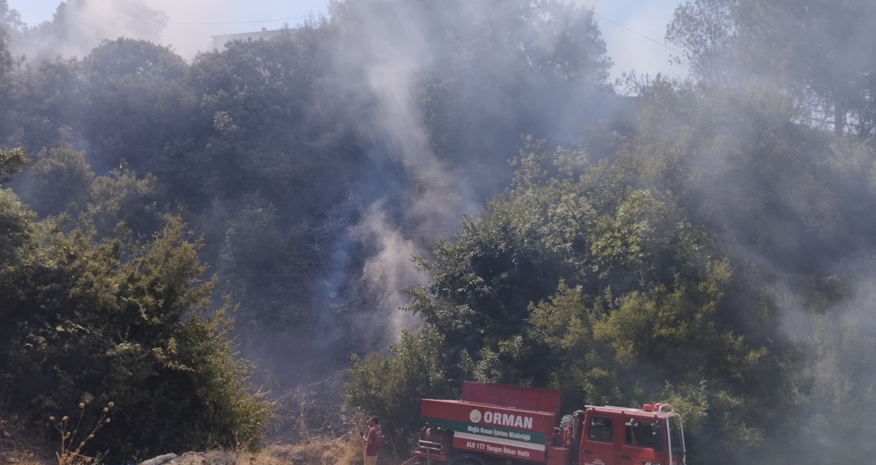 Evde çıkan yangın ormana sıçradı