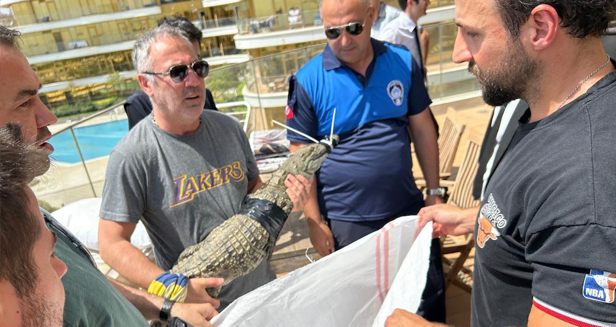 Evinde timsah besliyordu… Gözaltına alındı