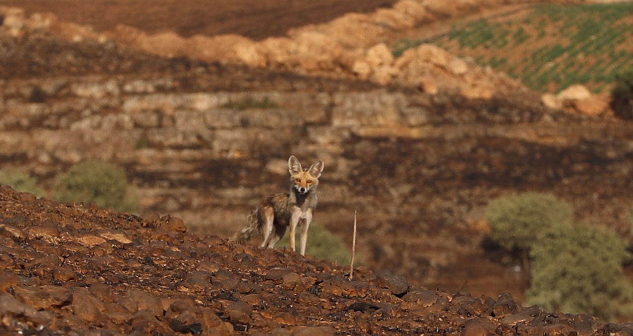 Felaketin boyutu gün ağarınca ortaya çıktı