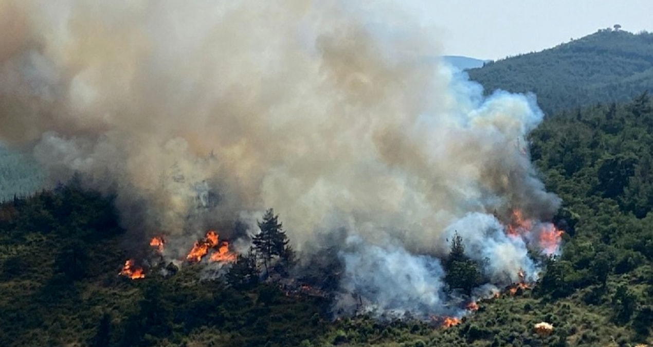Haziranda orman yangınları rekor kırdı!