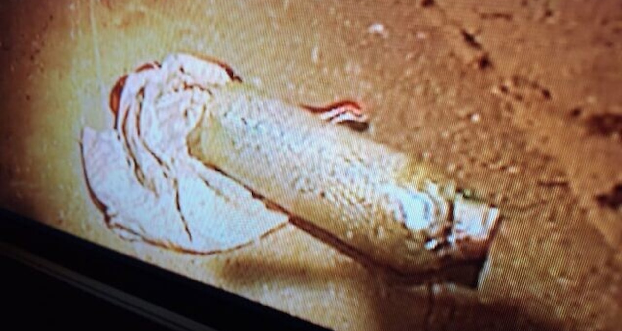 İsrail istihbaratından Türkiye iddiası