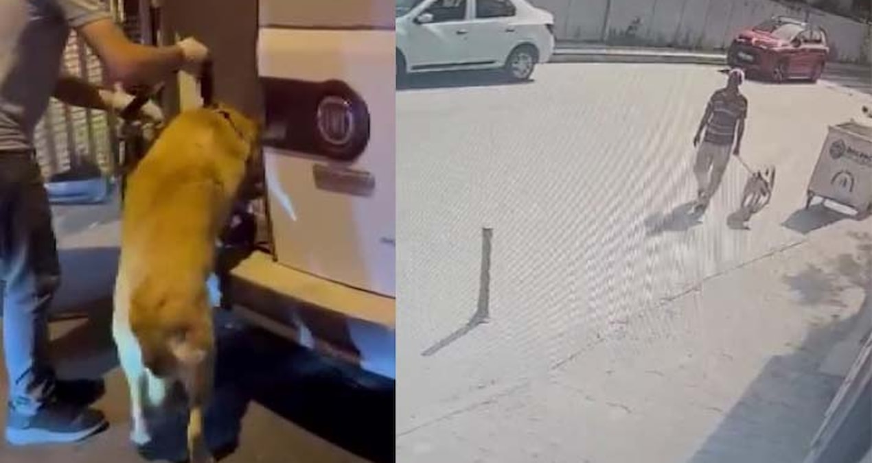 İstanbul’da iğrenç olay: Köpeğe cinsel istismarda bulunun şüpheli gözaltına alındı