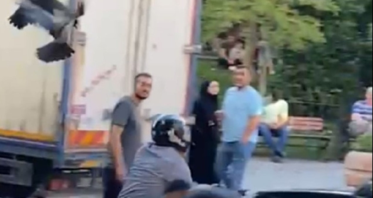 Kargaların ‘yavru’ telaşı… Mahalleliye saldırdılar