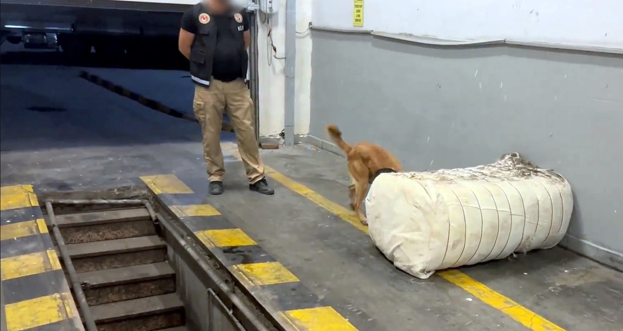 Keçi kılında uyuşturucu… Onlarca kilo yakalandı