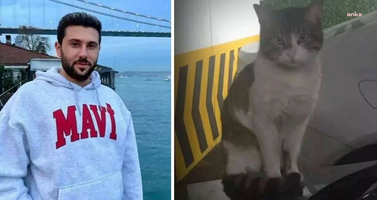 Kedi ‘Eros’u öldüren sanığın cezası onandı