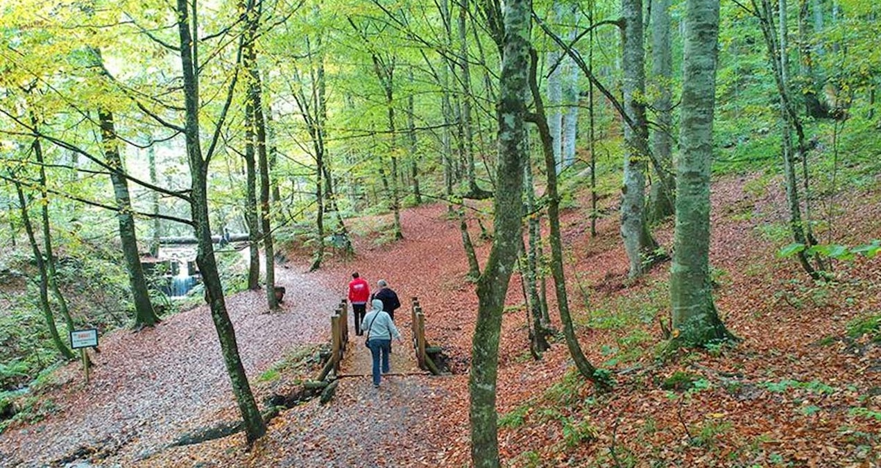 Korunan alanlar 5,3 milyon ziyaretçi ağırladı