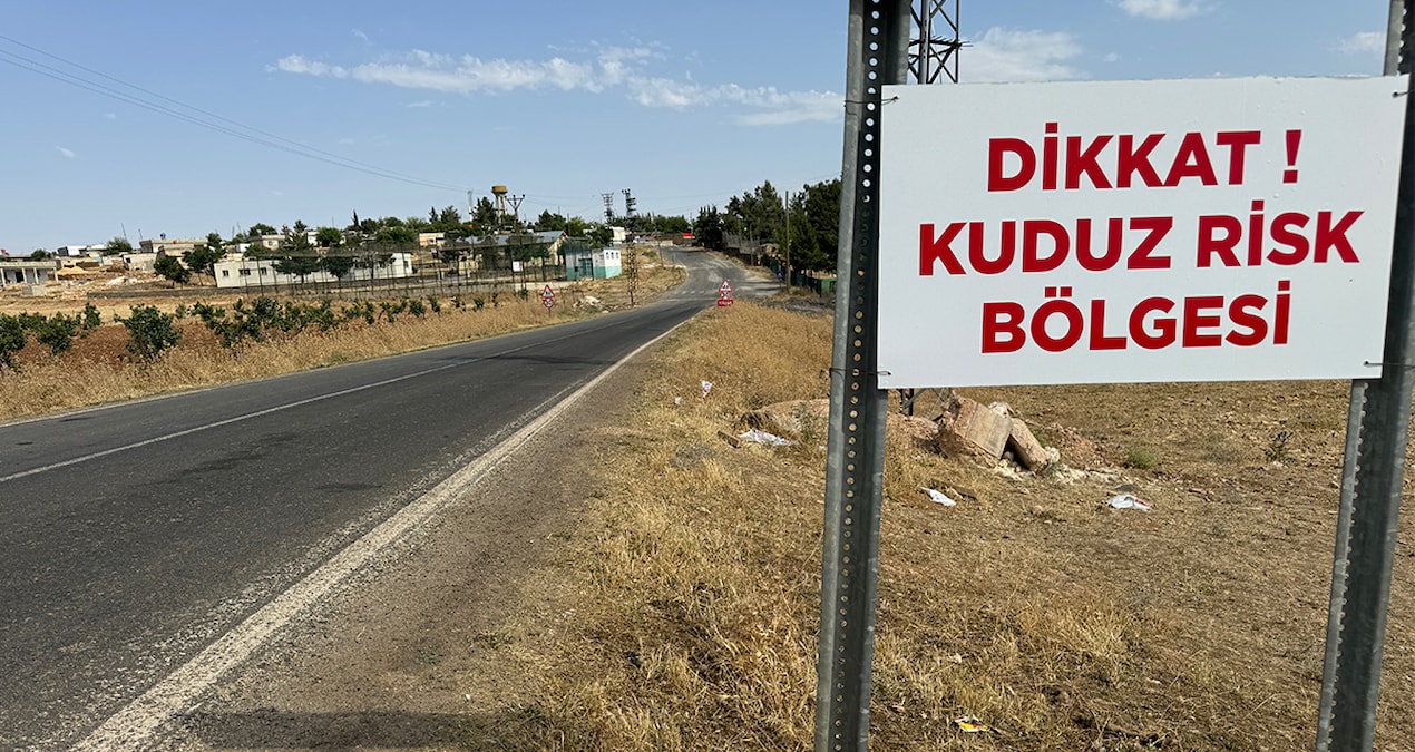 Kuduz paniği: İki mahalle karantinada