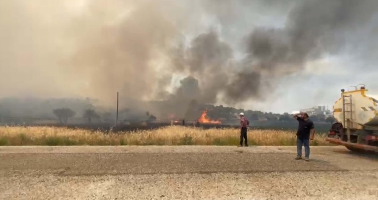 Manisa’da orman yangını
