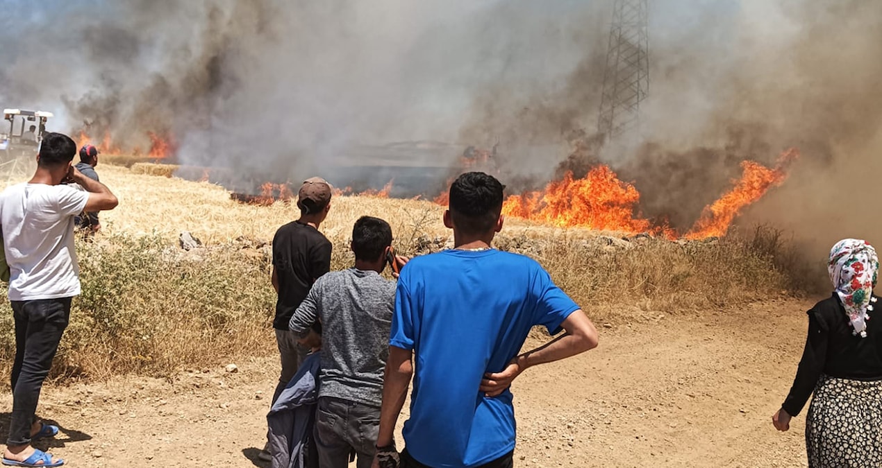 Mardin’de 50 dönüm arpa ve buğday ekili alan kül oldu