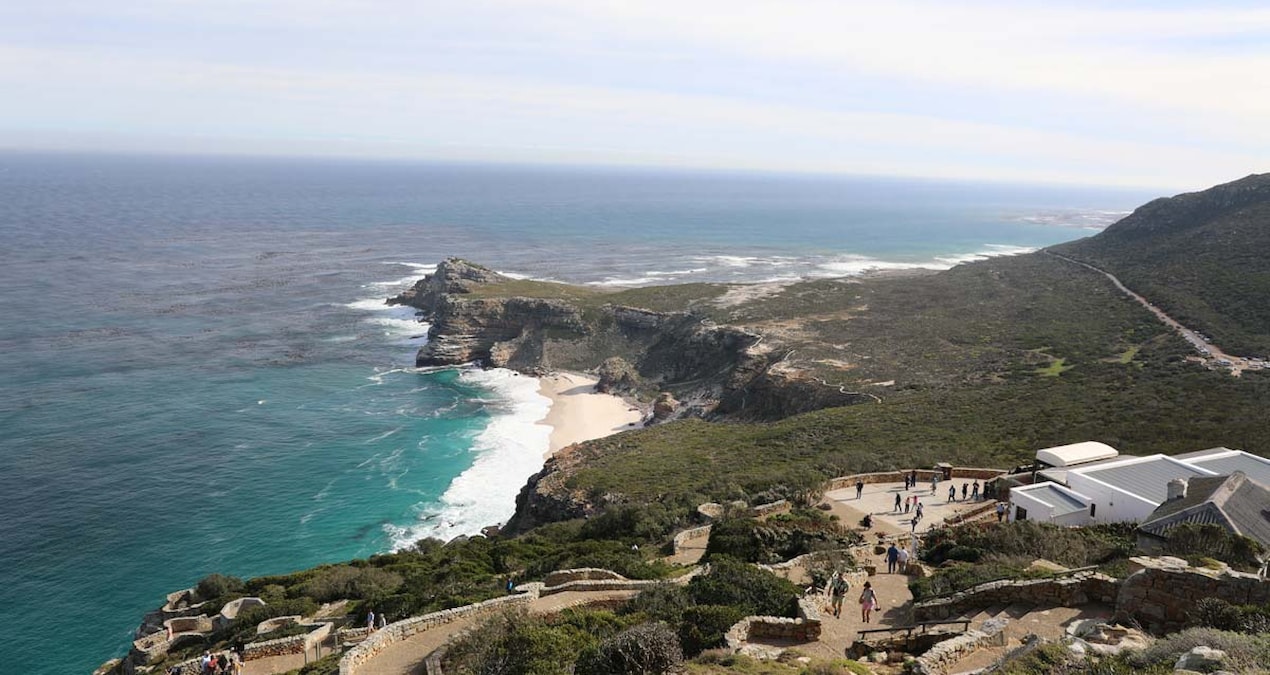 Masa Dağı Ulusal Parkı: Cape Town’un büyüleyici doğal güzelliği