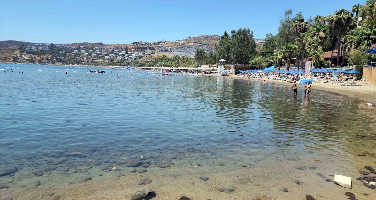 Mavi Bayraklı cennet koyda deniz kirliliği alarmı