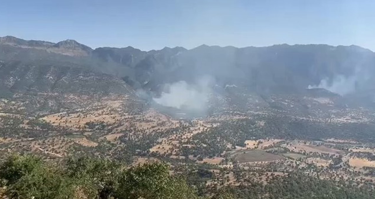 MSB: PKK’lı teröristler ormanları yakmaya başladı