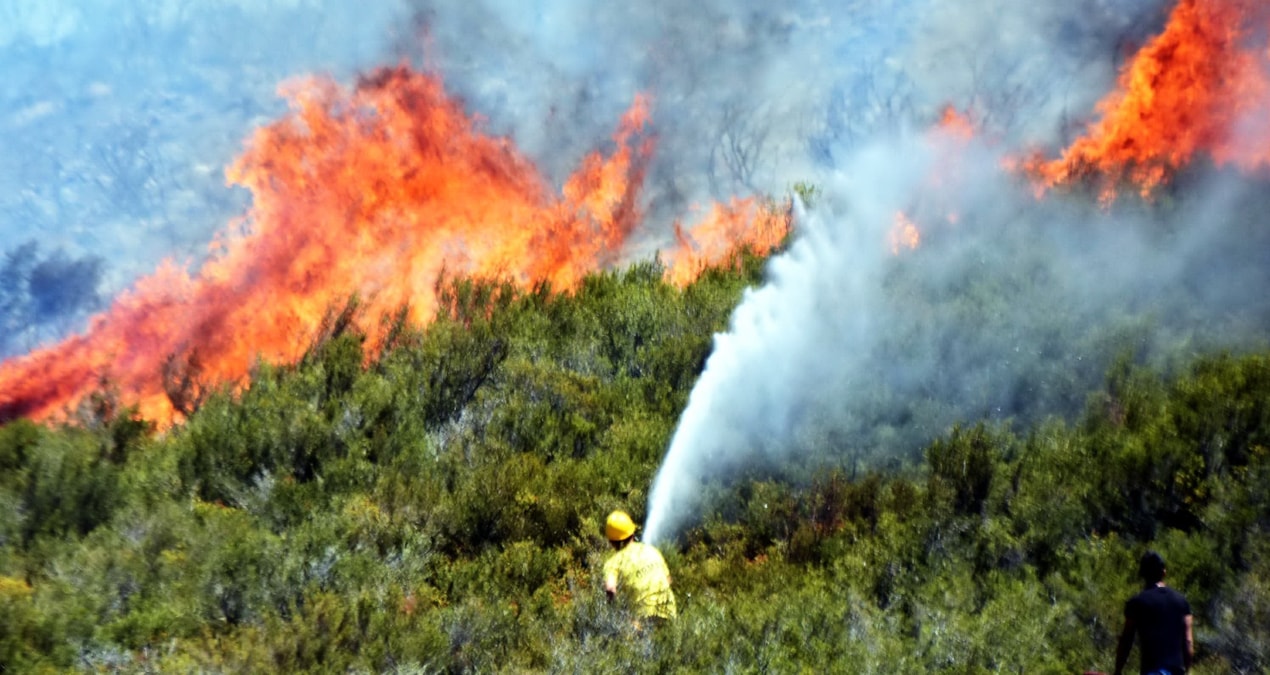Muğla, Çanakkale ve İzmir’de orman yangınları
