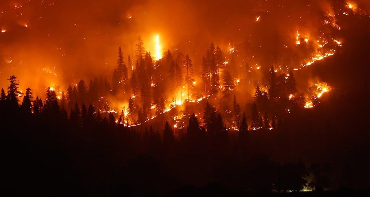 Orman yangınlarıyla ilgili çarpıcı araştırma: En az 52 bin insan genç yaşta öldü