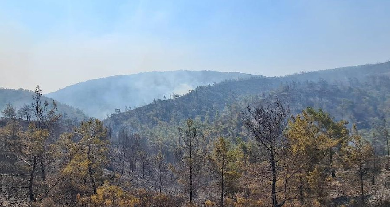 Ormanlara giriş yasak mı? Hangi illerde ormana giriş yasak?