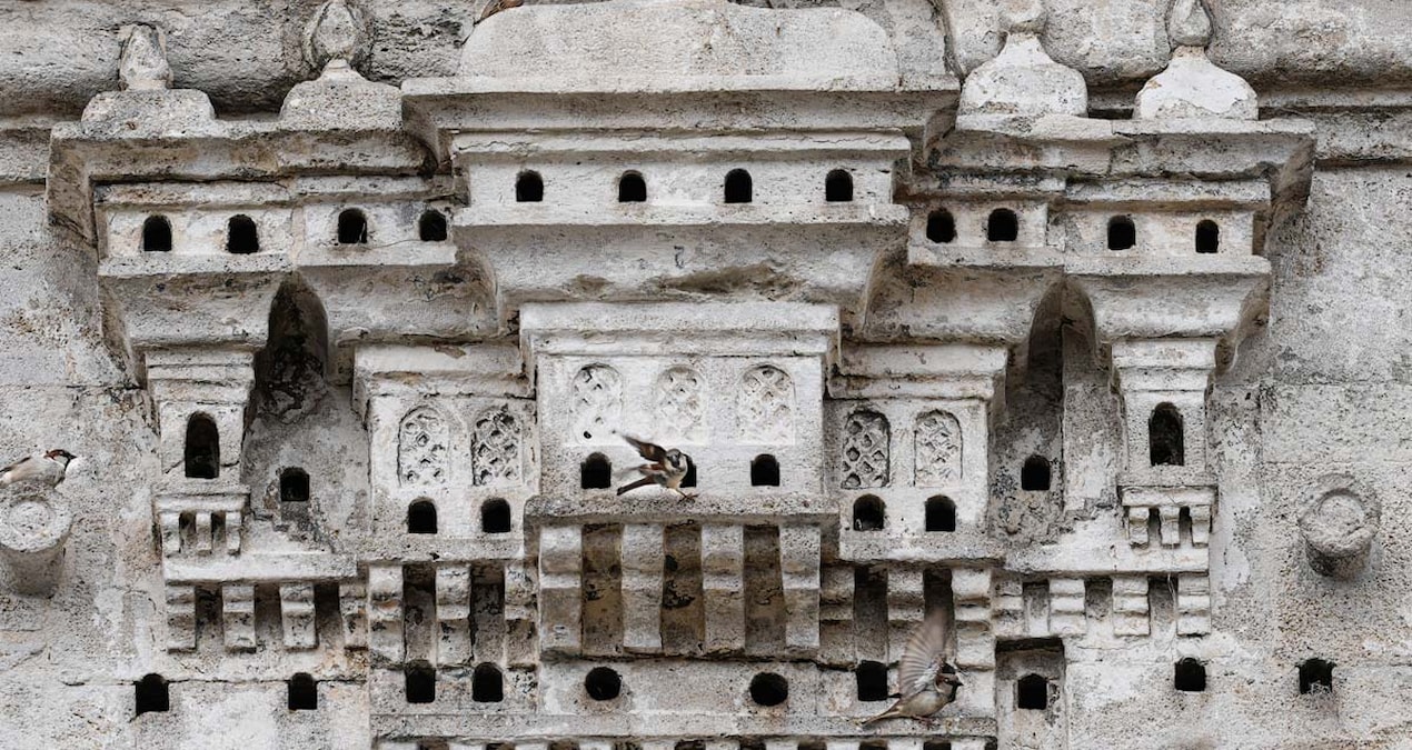 Osmanlı kuş sarayları beş asırdır güzelliğini korunuyor