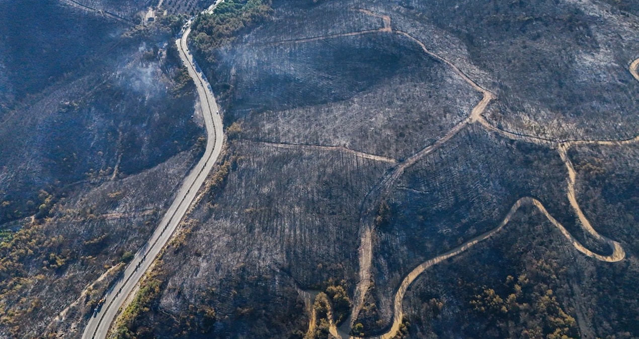 Selçuk’taki yangının boyutları ortaya çıktı… Söndürme çalışmalar sürüyor
