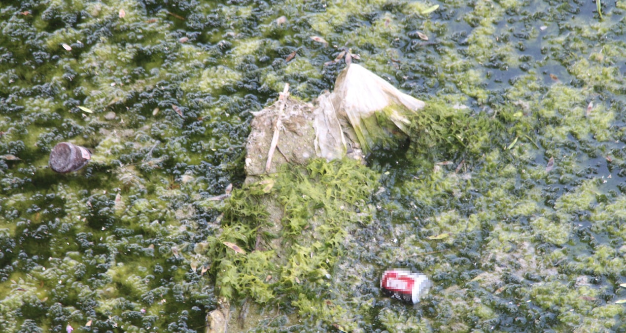 Seyhan Nehri’nde telaşlandıran görüntü