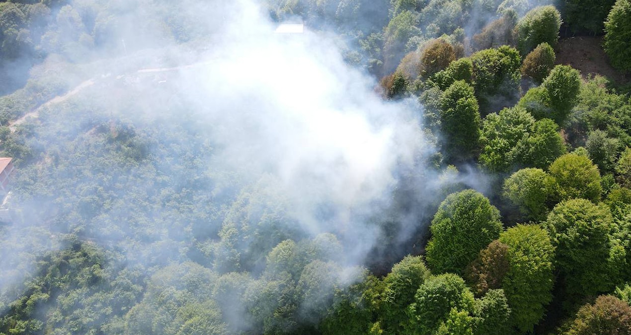 Siirt’te orman yasağı