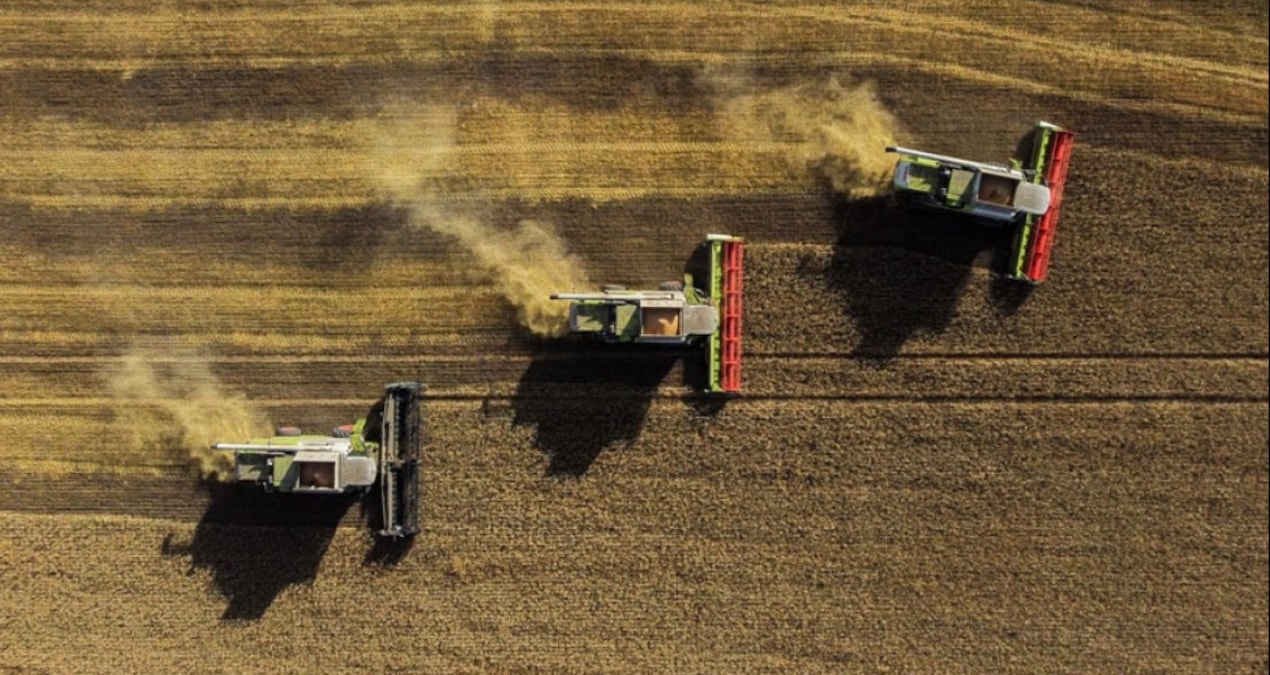 Türkiye buğdat ithalatını durdurdu, Rusya’dan net açıklama geldi