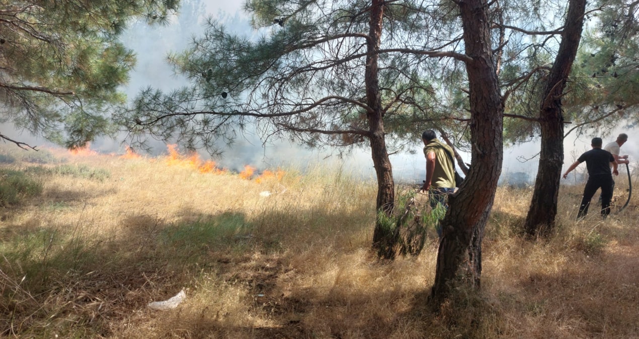 Üç ilde peş peşe yangın! Havadan ve karadan müdahale ediliyor