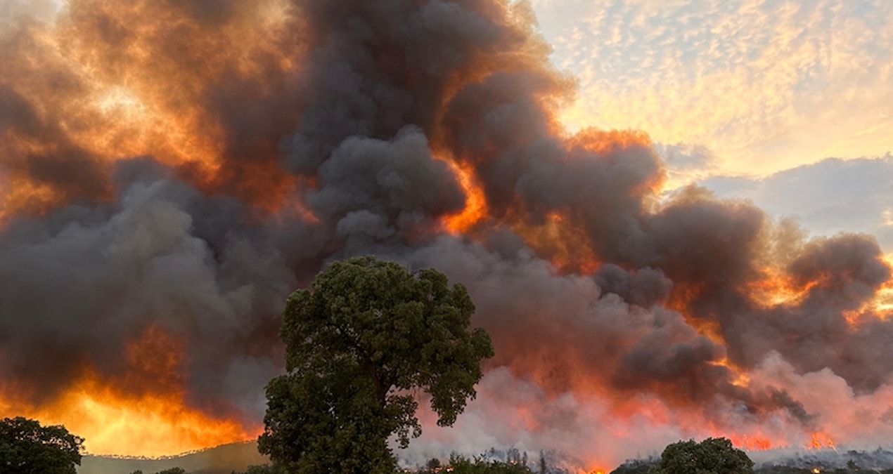 Uşak’taki orman yangını 40 saat sonra kontrol altında