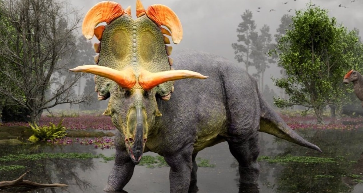 Yeni bir dinozor türü bulundu: Fil boyunda ve keskin boynuzlu