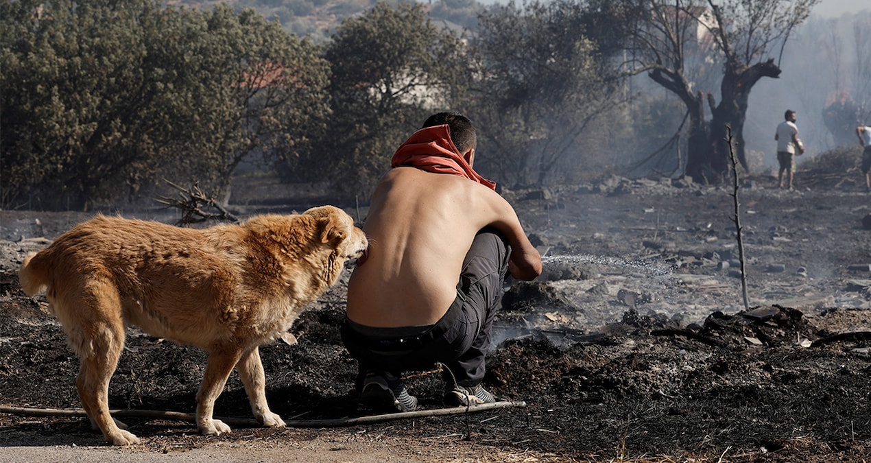 Yunanistan’da orman yangınları… Bir kişi öldü