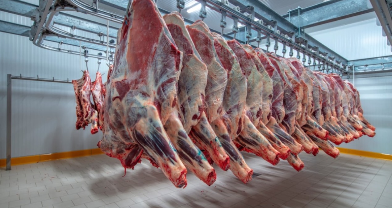 AİHM yasaklanan helal kesim yöntemi ile ilgili karar verdi