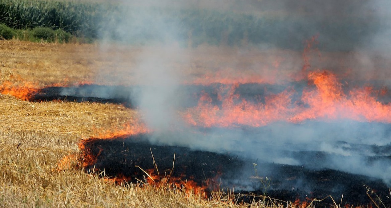 Anız yakanlara 14 milyon liralık ceza