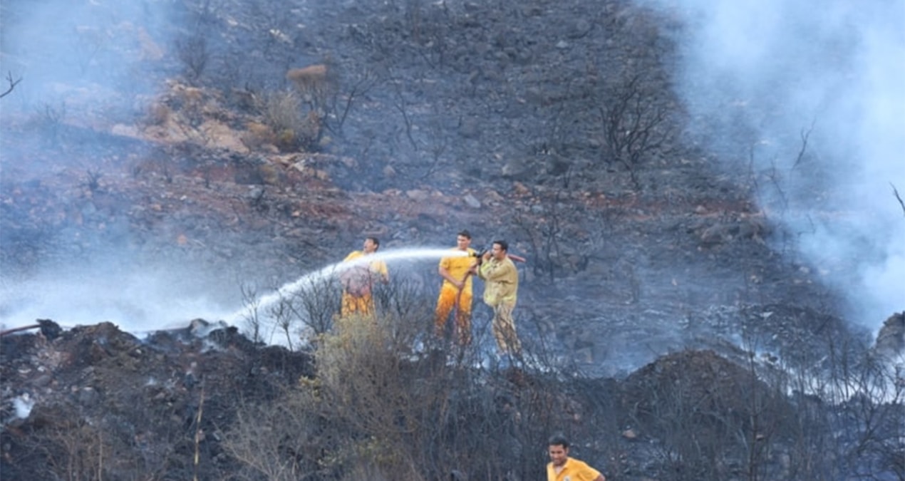 Marmaris’teki yangında gözaltına alınan 3 kişi serbest