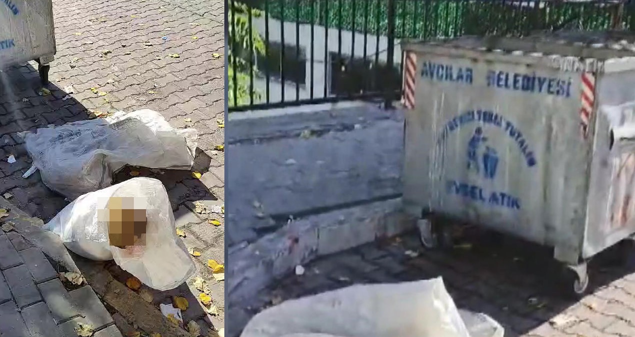 Avcılar’da çuval içinde çöpe atılmış iki ölü köpek bulundu