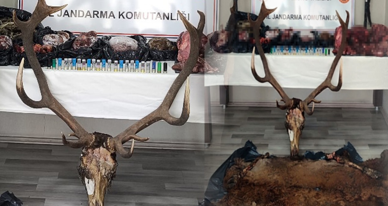 Bu kadarına pes! At ve eşekten sonra geyikten de sucuk yapmışlar