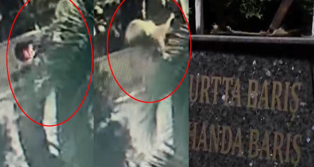 Cemevi bahçesinde kirli provokasyon: Önce çevreye sonra Atatürk büstüne saldırdı